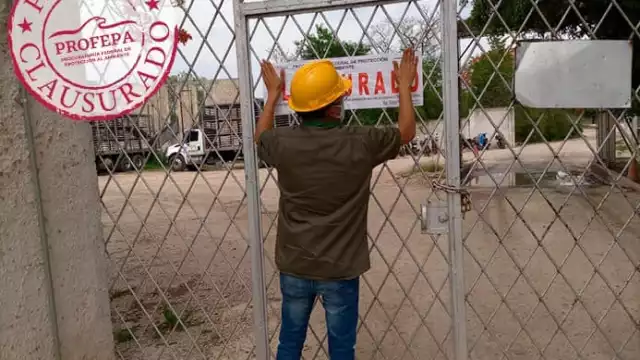 La Profepa establecerá estrategias de atención a la problemática ambiental que genera la industria porcícola en conjunto con la Dirección General de Impacto