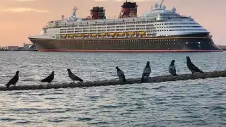 El crucero arribó el 5 de abril de este año