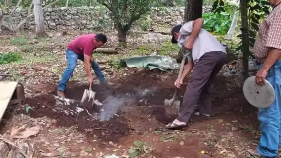 Último día del tradicional mucbipollo