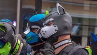 Dog Beach se deslinda del fenómeno “therian” y aclara que no promueve adopciones