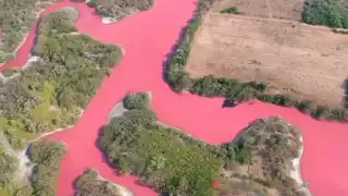 La laguna La Salina de Oaxaca se tiñó de rosa