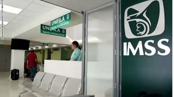 El decreto indica que el objetivo del organismo descentralizado será dar atención médica gratuita a personas que no tengan seguridad social