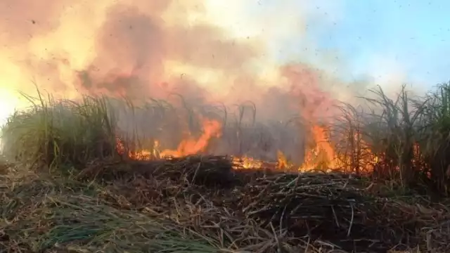 Las quemas de los pastizales podrían superar las 9 mil hectáreas de 2020