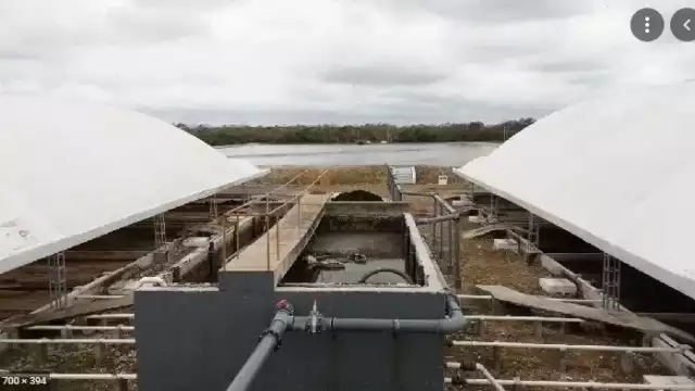 Kekén ha violado la ley, al contaminar más de lo permitido, indicó el Centro Mexicano para la Filantropía