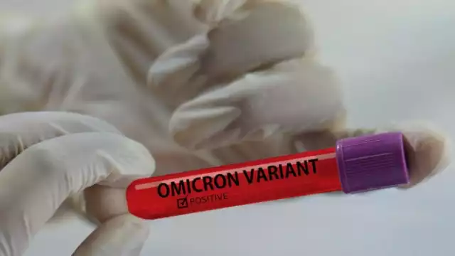 El nuevo linaje fue identificado en la ciudad de Tacna, en el sur del país