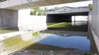 Foto: Martín Zetina