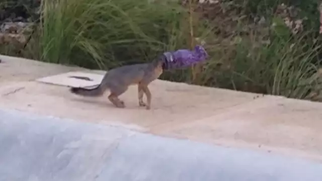 Foto: Andrea Queb Lopez en Facebook