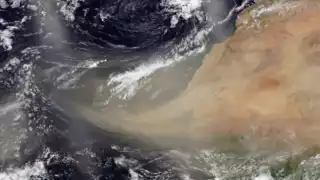 El Polvo del Sahara es traído por los vientos alisios. Foto: Satélite