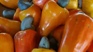 Esta fruta resulta ser muy agradable al paladar, si la encuentras muy madura