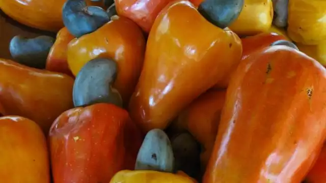 Esta fruta resulta ser muy agradable al paladar, si la encuentras muy madura