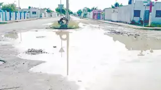 Esta calle se mantiene inundada en época de lluvia y con lodo.