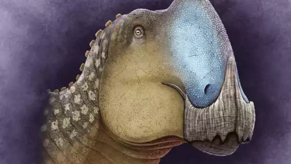 El Coahuilasaurus lipani continúa bajo investigación científica El Coahuilasaurus lipani continúa bajo investigación científica