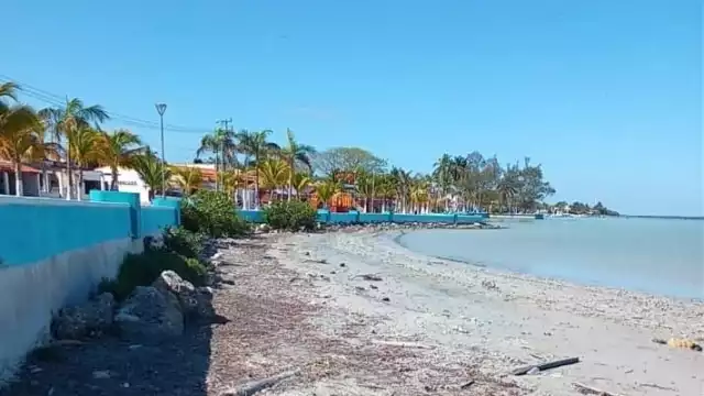 El lodo acumulado genera malos olores. Foto: Pedro Díaz
