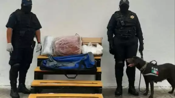 La Unidad Canina detectó la mochila y una caja con varias drogas La Unidad Canina detectó la mochila y una caja con varias drogas