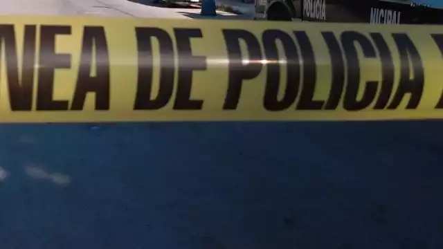 Autoridades de la Fiscalía General del Estado de Quintana Roo acudieron al lugar en Tulum para investigar el hecho