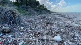 Biólogo advierte por microplásticos como principal contaminante de las playas de Yucatán