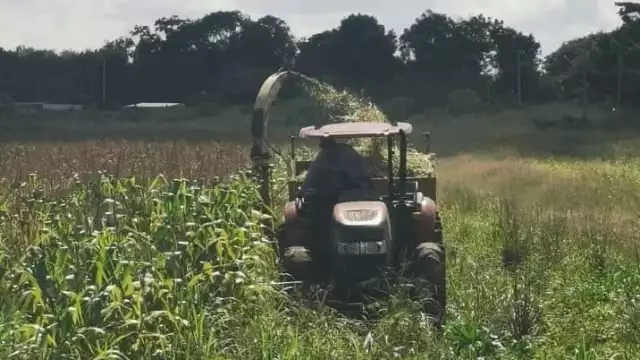 Esta recolección servirá para enfrentar las temporadas de sequía del próximo año
