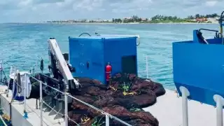 Foto: Abraham Cohuó