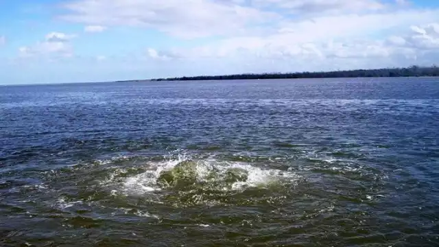 De el salen hasta tres mil litros de agua dulce por minuto