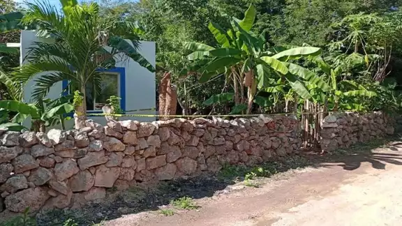 Una mujer acude a visitar a su familia y descubre a su mamá y hermana, quienes se quejaban de dolor