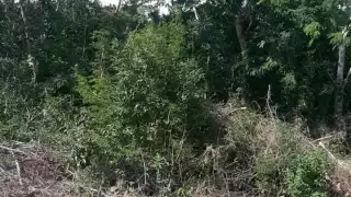 Tras el reporte elementos de la Fiscalía, descubrieron que, en realidad, se trataba de dos personas sin vida,