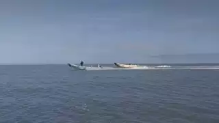 Foto: Alejandro Colli