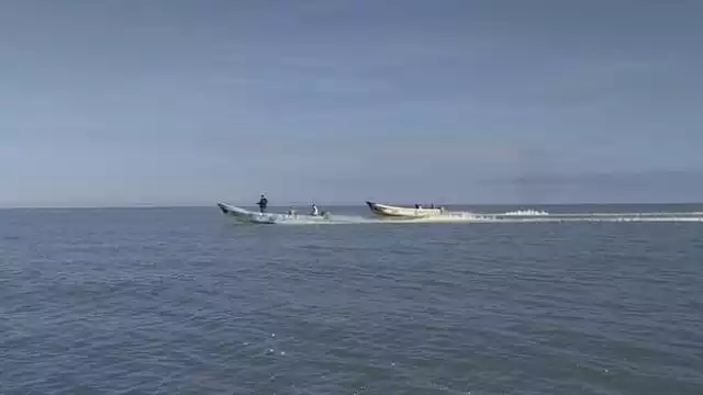 Foto: Alejandro Colli