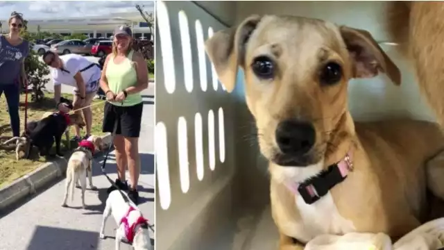 Foto: Abraham Cohuó