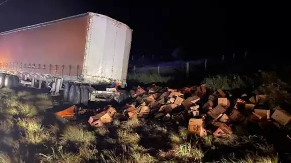 Un tráiler doble remolque cargado con cerveza terminó fuera de la carretera de Isla Aguada-Sabancuy