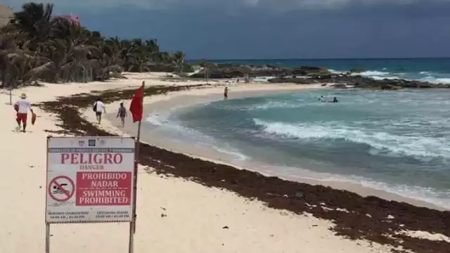 La actuación oportuna del equipo hizo posible el rescate