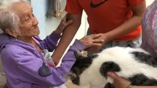 Foto: Roberto Hernández