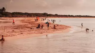 El puerto registra una disminución en la llegada de visitantes