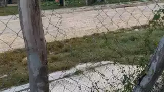 Los propietarios de la casa piden apoyo a las autoridades por los constantes intentos de robo