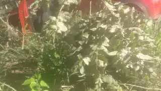 Los hechos ocurrieron cerca de las 10:50 horas de la mañana cuando un hombre circulaba a bordo de una Camioneta Hyundai