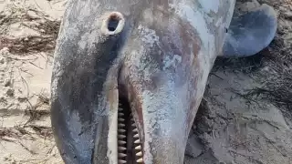 Foto: Julio Jiménez