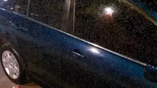 Un arribo anterior se registró hace poco más de un mes, pero con el paso de los Frentes Fríos y la lluvia se disipó