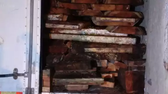 El tráiler llevaba como carga de madera de parota