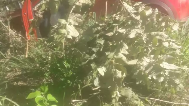 Los hechos ocurrieron cerca de las 10:50 horas de la mañana cuando un hombre circulaba a bordo de una Camioneta Hyundai