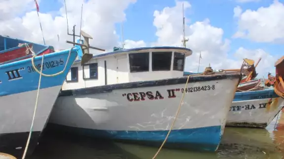 Decenas de embarcaciones se alistan para regresar al océano y dedicarse a la captura del pulpo