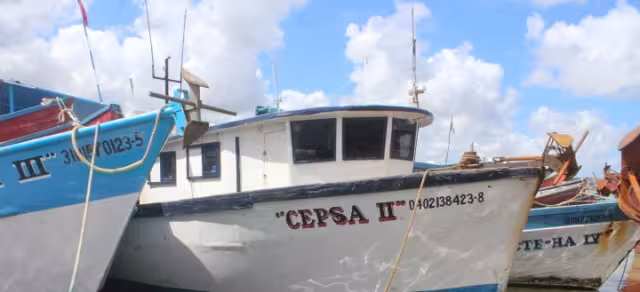 Decenas de embarcaciones se alistan para regresar al océano y dedicarse a la captura del pulpo