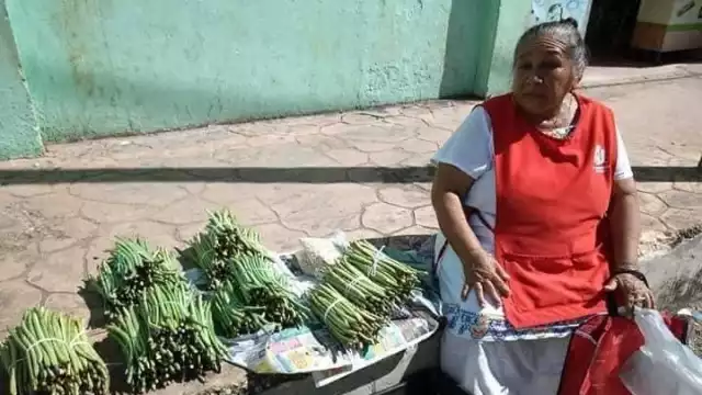 Todos los años el frijol maya incrementa su precio a finales de octubre por la elaboración del mucbipollo