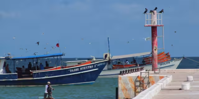  En aguas de Río Lagartos fue encontrado el cuerpo de un pescador que se arrojó de un barco