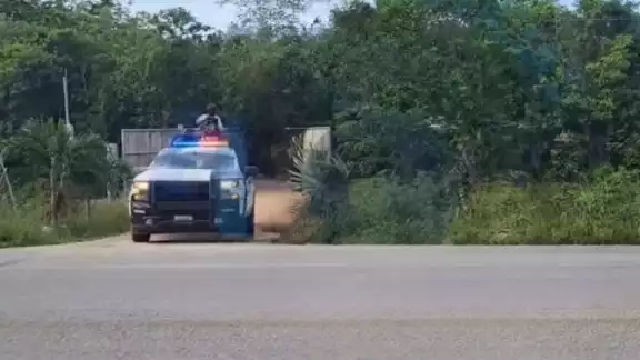 Encuentran explosivos y armas durante un cateo Encuentran explosivos y armas durante un cateo
