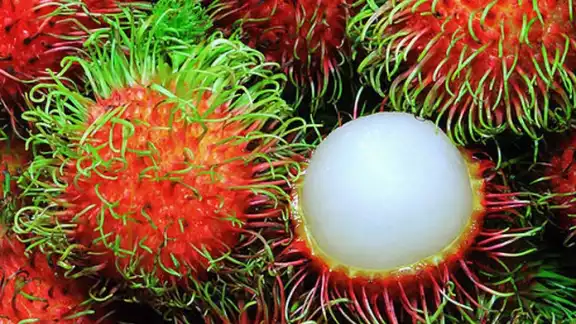 Este fruto se encuentra dentro de la lista las frutas más exóticas del mundo y expertos le llaman la ‘Superfruta’