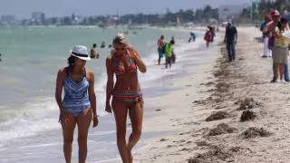 Crucero Breeze llega a Progreso con 3 mil 889 pasajeros y reactiva ventas en el puerto