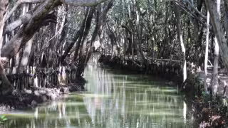 El Corchito se alista para el verano: esperan más de 600 visitantes diarios en Progreso