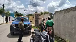 Vecinos de Kanasín piden justicia por la muerte de otro perro