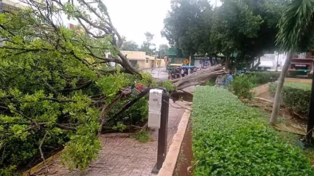 Aunque no hubo lesionados por el incidente, autoridades decidieron cerrar la calle 22 con 21 y 19 que une el mercado con la plaza principal de la localidad