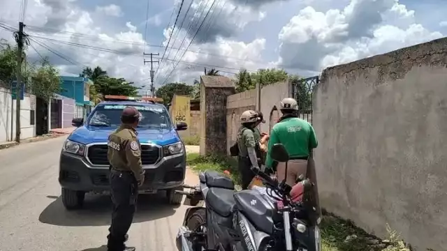 Vecinos de Kanasín piden justicia por la muerte de otro perro