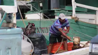 Proponen estudiar la posibilidad de buscar nuevas especies para la pesca en Yucatán